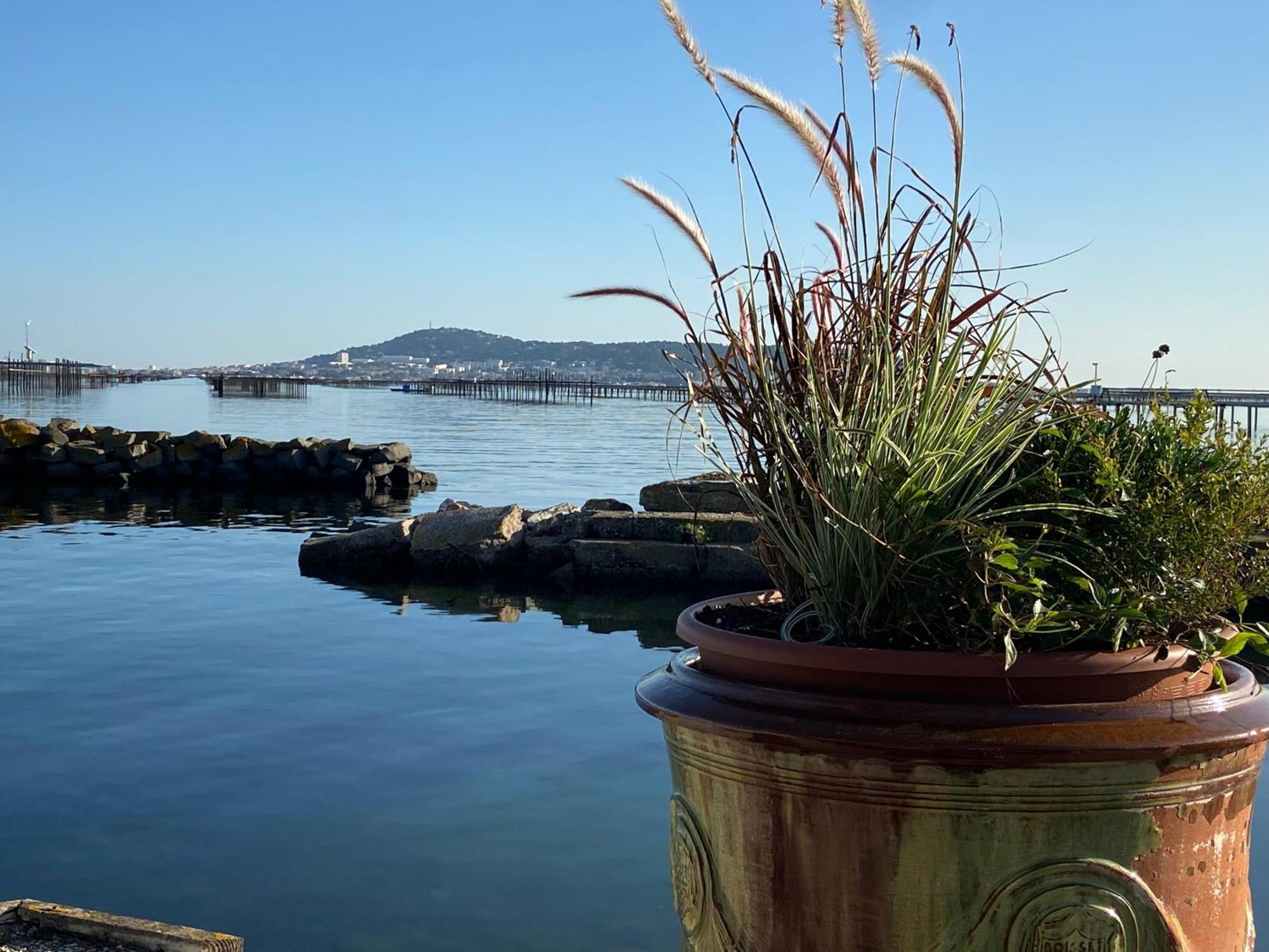 Lemodernlounge, Hebergement Cosy Moderne Spacieux 巴拉吕克莱班 外观 照片